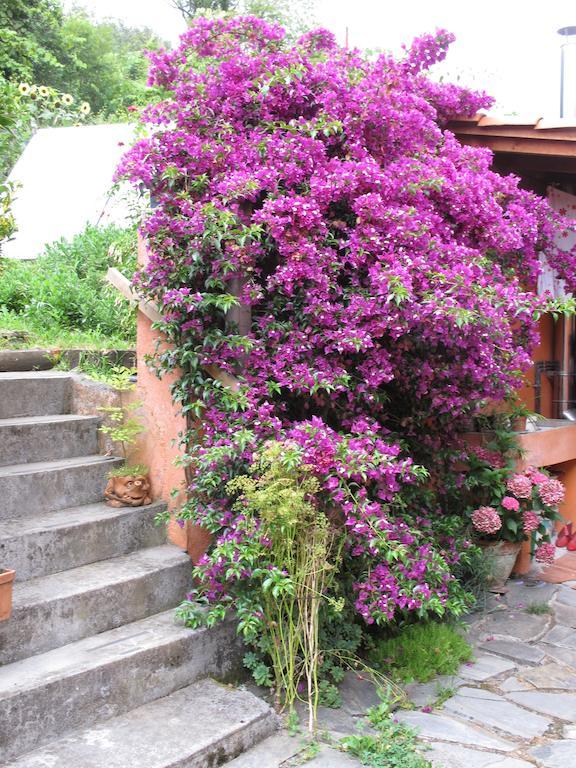 Casa Rural Enkartada ソプエルタ エクステリア 写真